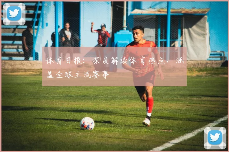 体育日报：深度解读体育热点，涵盖全球主流赛事